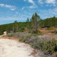 santesteve25c