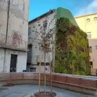 ARB1