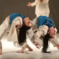 meohamid2(1)