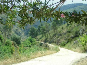 Barranc Tarongers Ontinyent