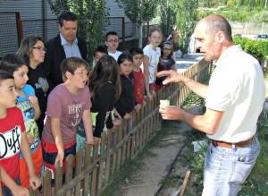 Lliberament-d'insectes-a-Ontinyent