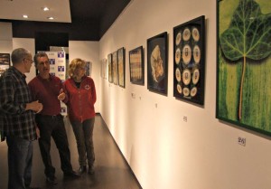 exposición fotos-1