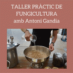 fungicultura
