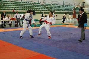 jiu jitsu-1