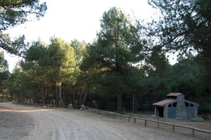 mariola-1