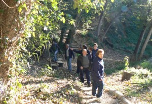 paseo font purisima-1