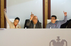 plenari-28N-2013