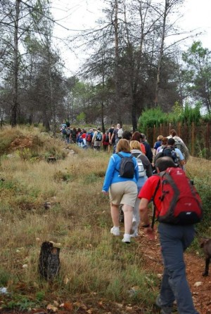 Excursió agullent