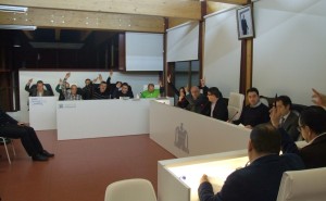 votacion pleno